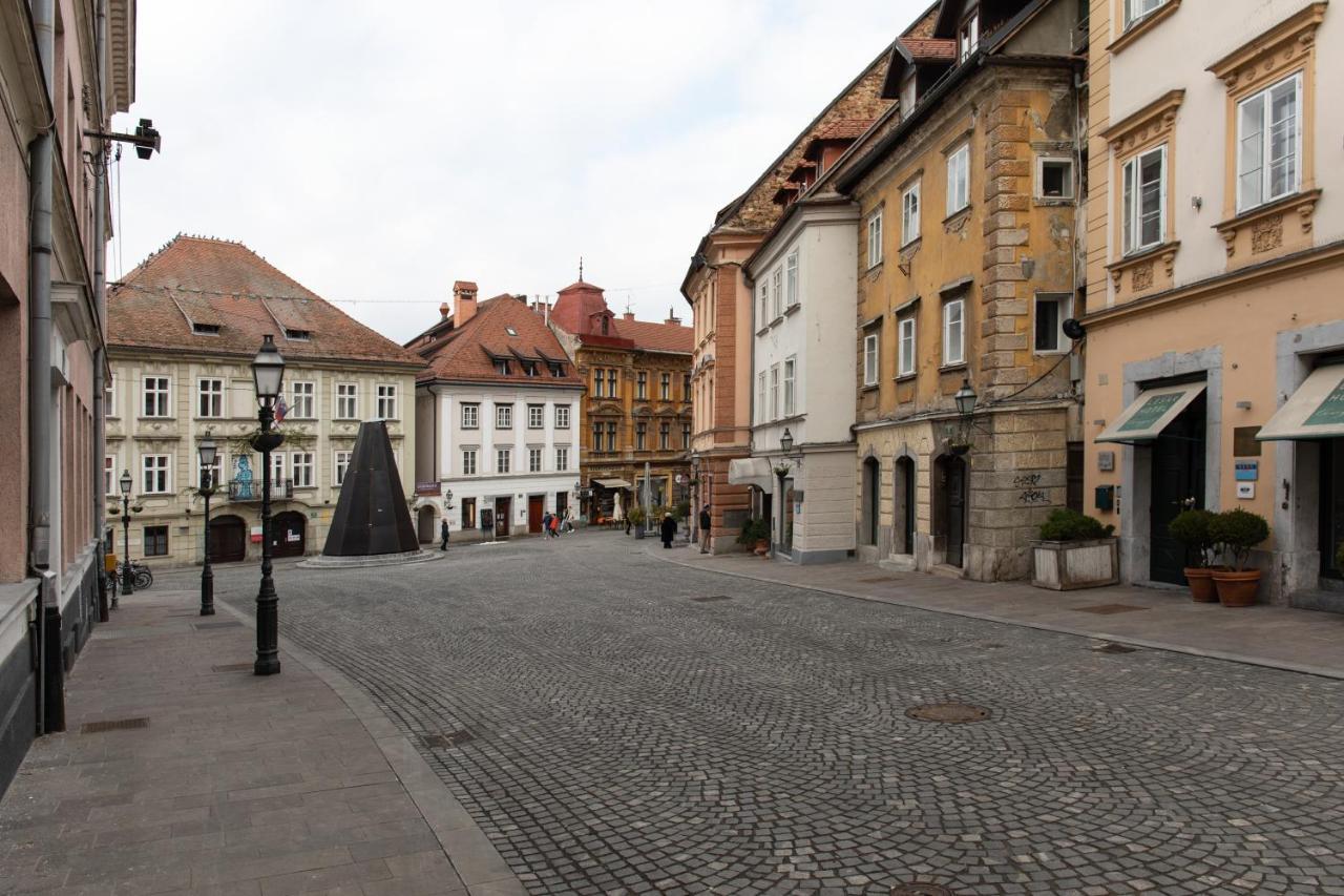 Apartment Bright & Spacious Loft In The Heart Of Old Town Ljubljana